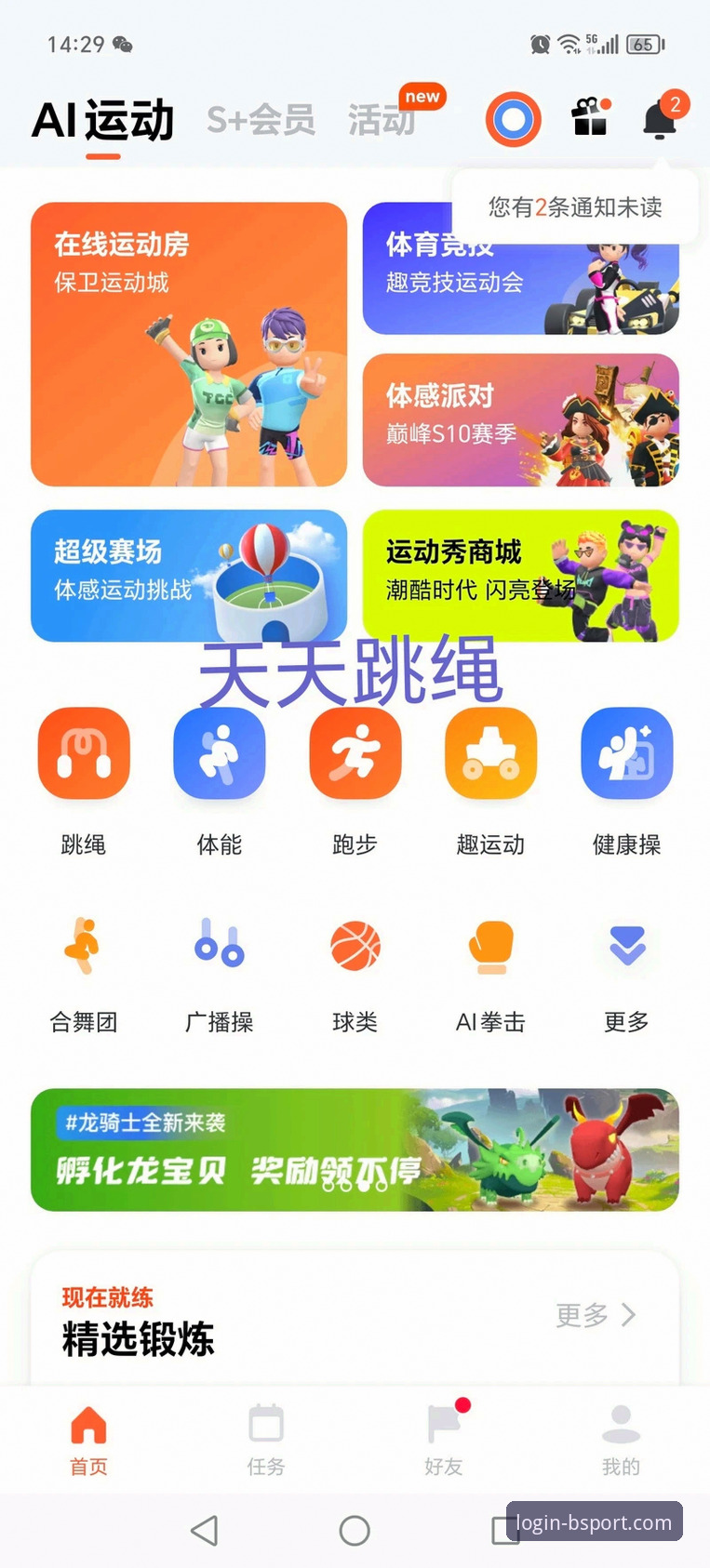 B体育app下载最新动态：v4.3.8版本如何重塑移动端体育娱乐体验